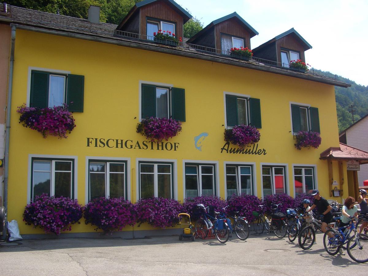 Fischgasthof Aumueller Obermuhl المظهر الخارجي الصورة