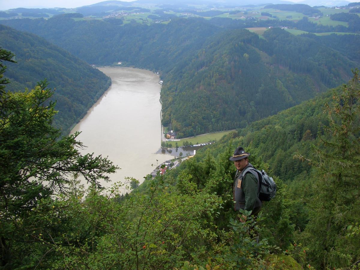 Fischgasthof Aumueller Obermuhl المظهر الخارجي الصورة